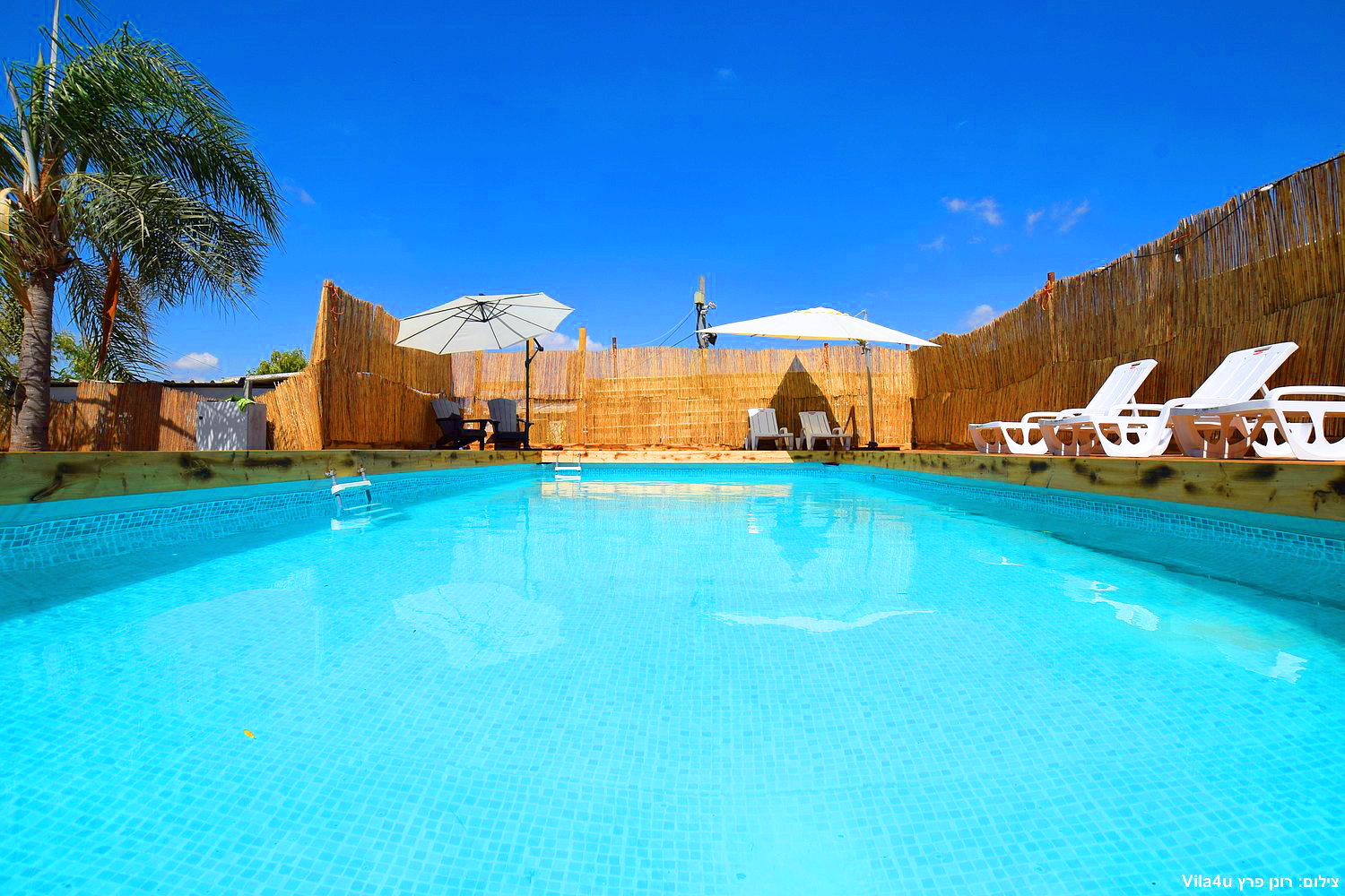 קרטחנה בעיר