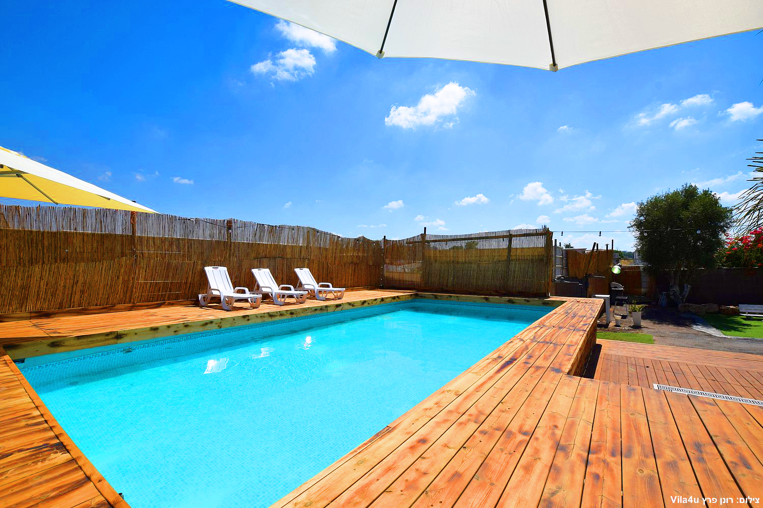 קרטחנה בעיר