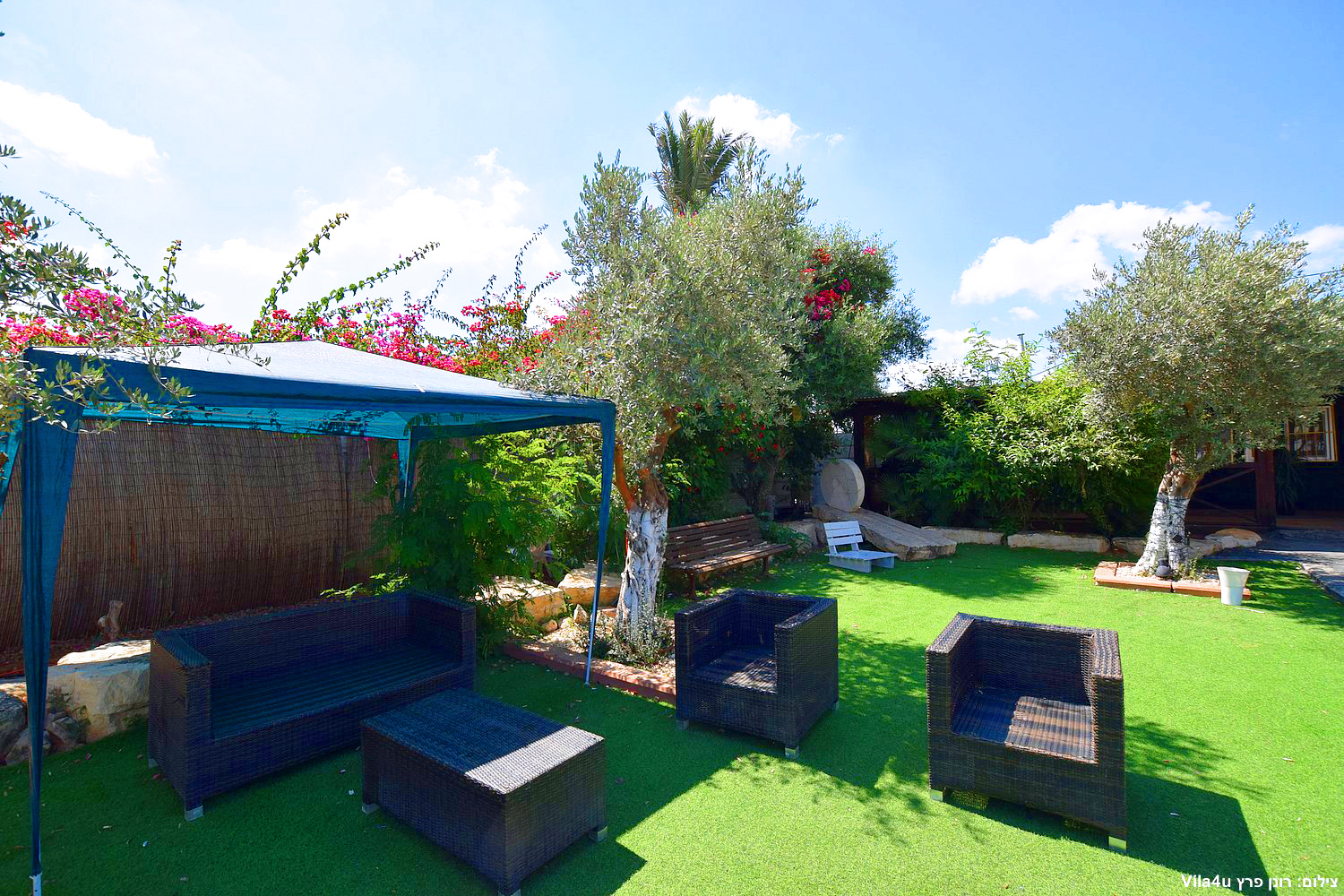 קרטחנה בעיר