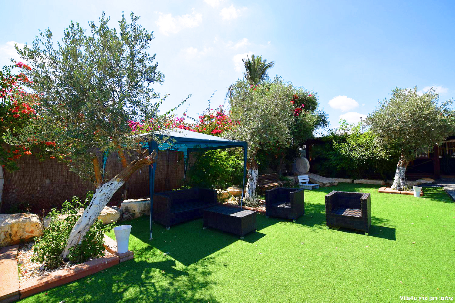 קרטחנה בעיר