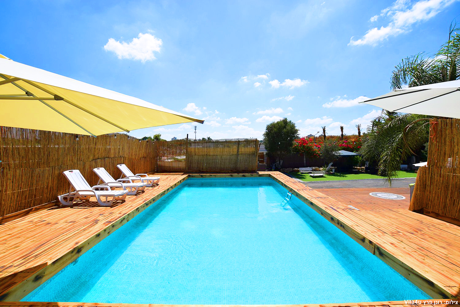 קרטחנה בעיר