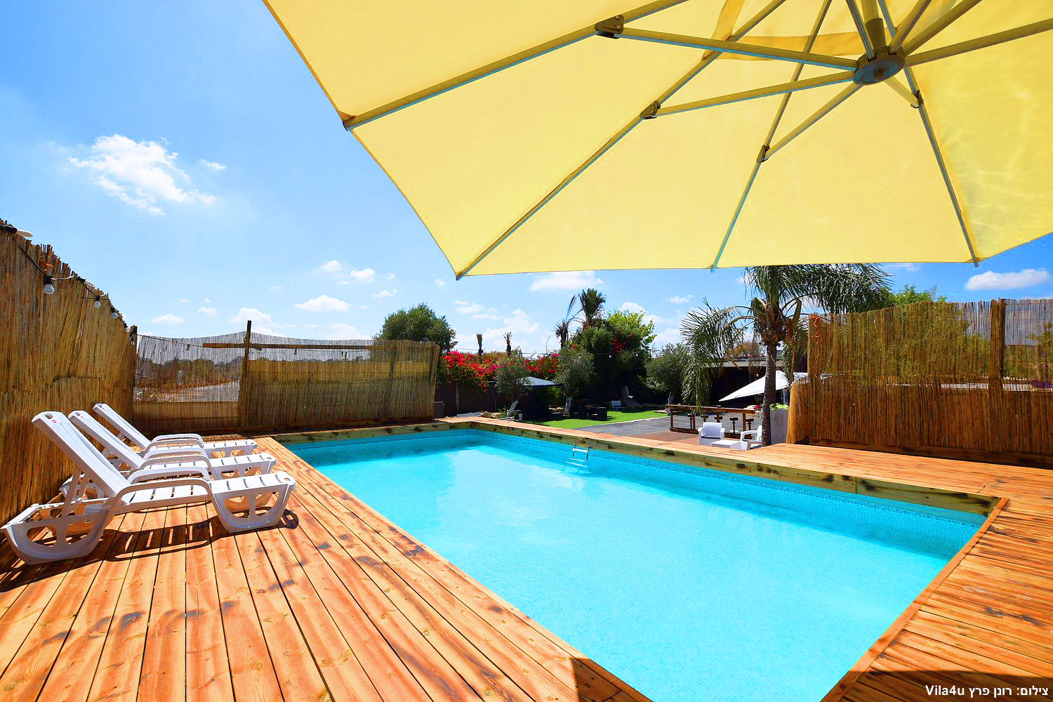 קרטחנה בעיר