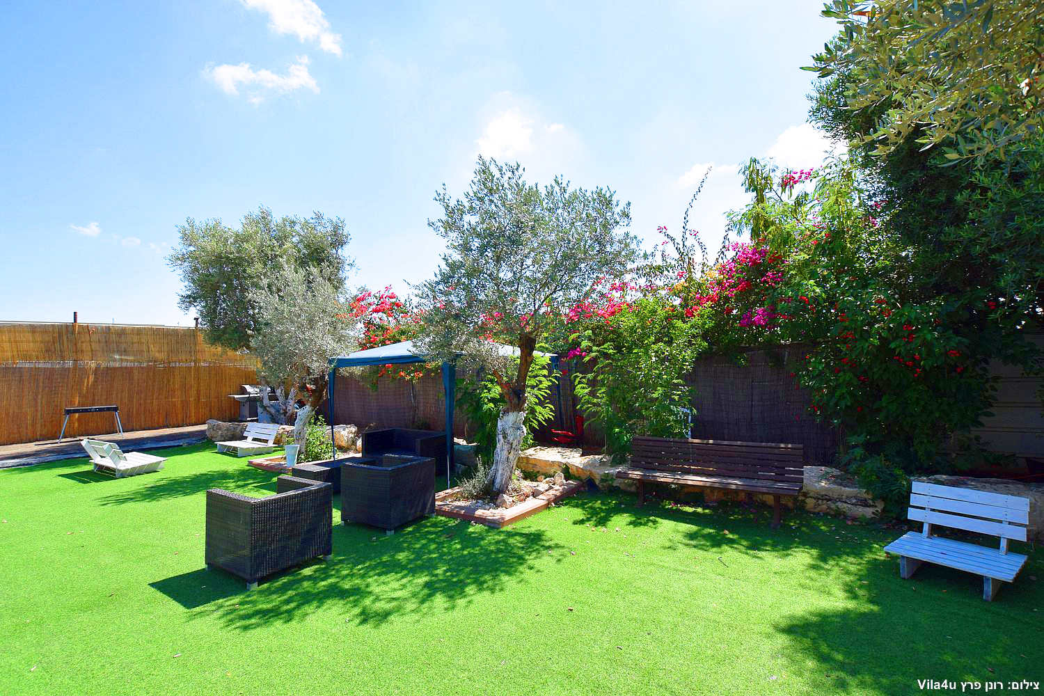 קרטחנה בעיר