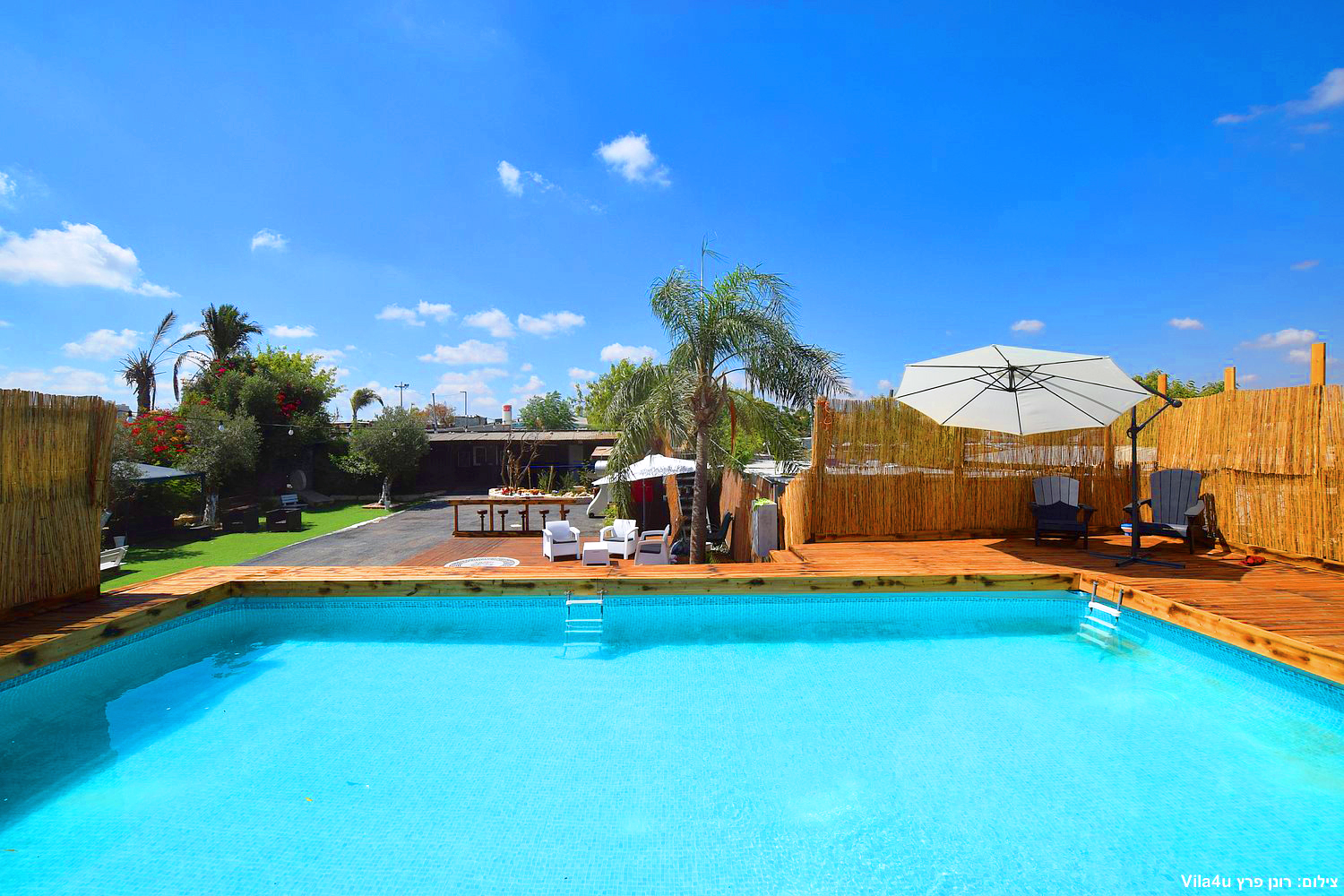 קרטחנה בעיר