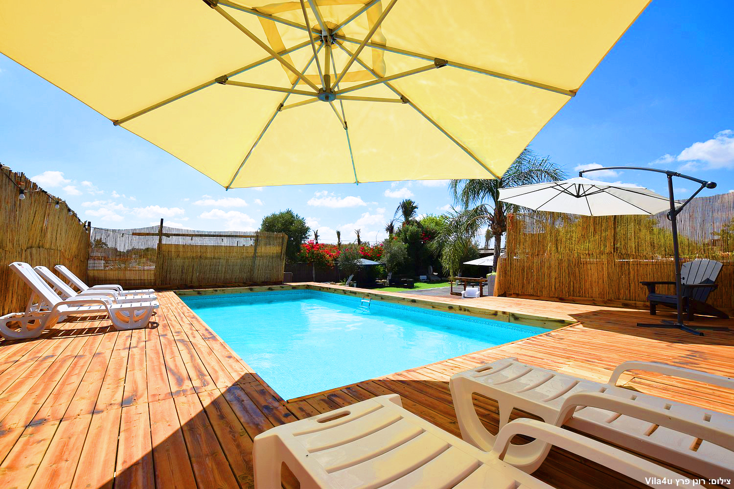 קרטחנה בעיר