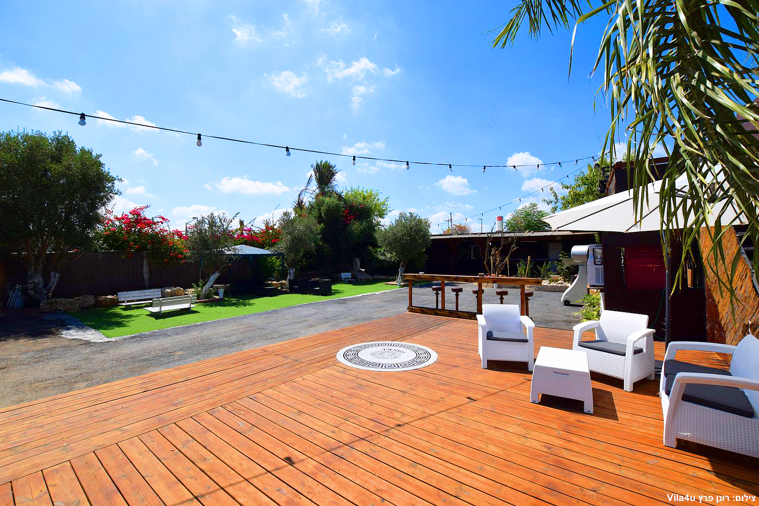 קרטחנה בעיר