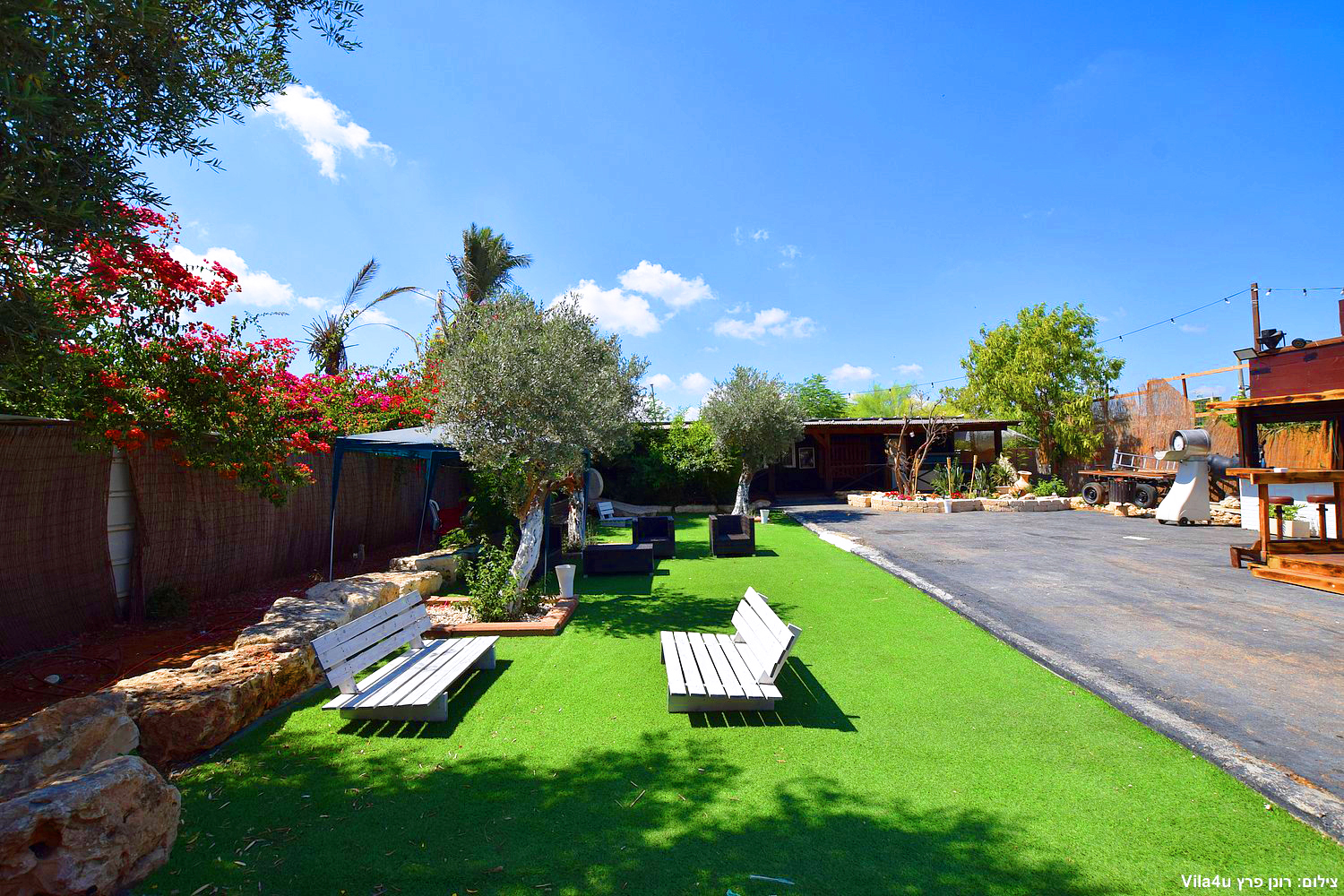 קרטחנה בעיר