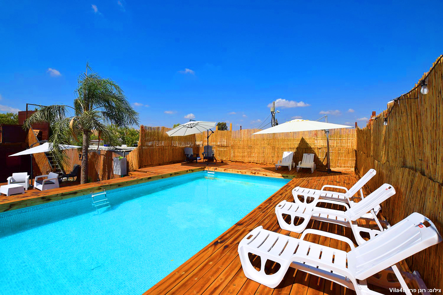 קרטחנה בעיר