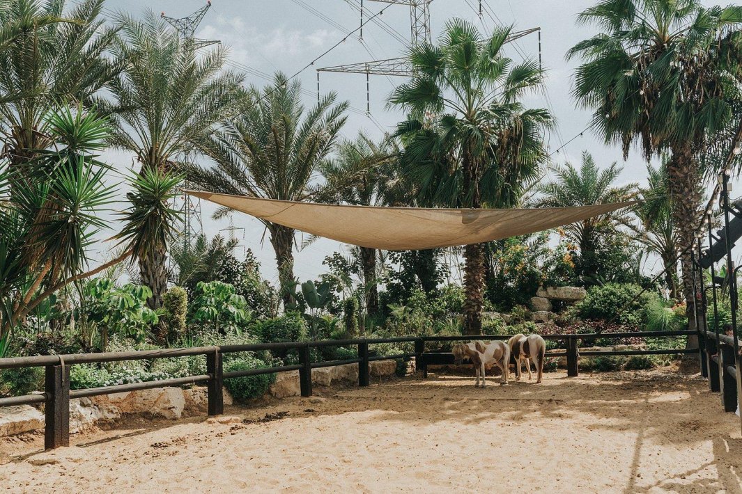 חלום בחווה אורבן - Urban