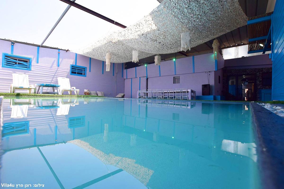 הרמוניה טופ