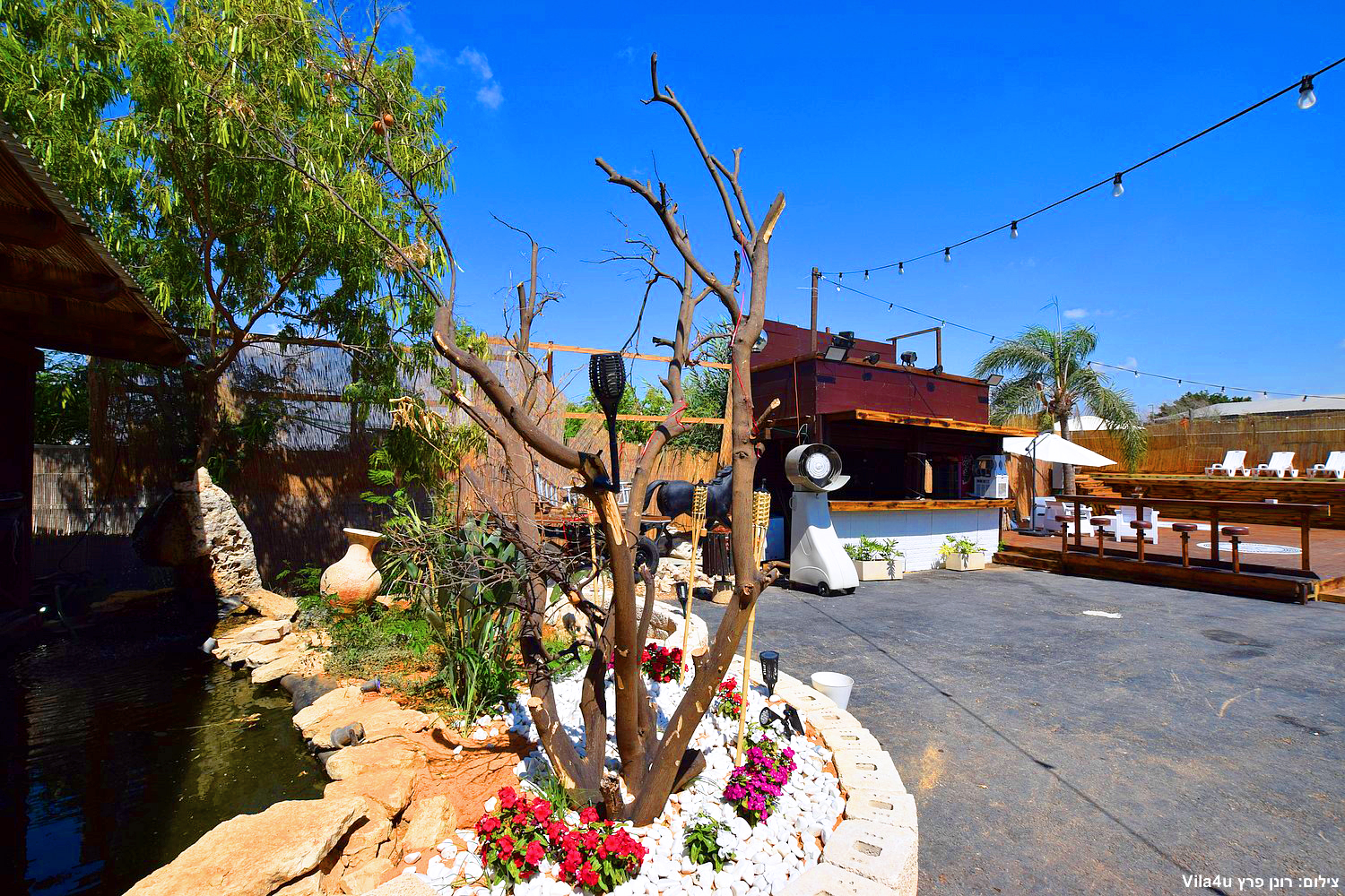 קרטחנה בעיר