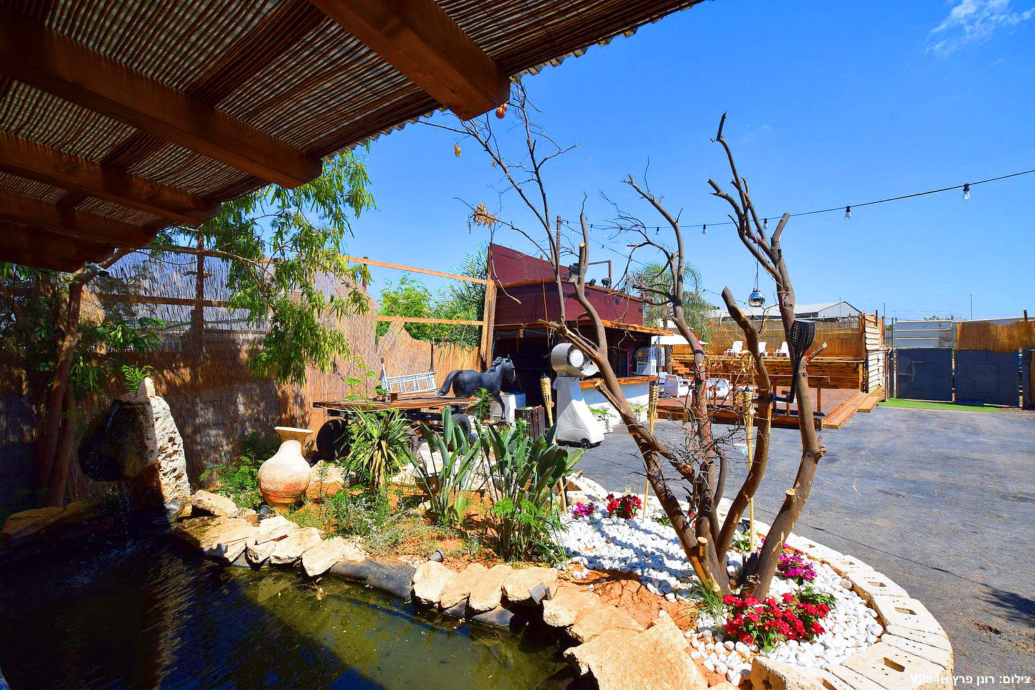 קרטחנה בעיר