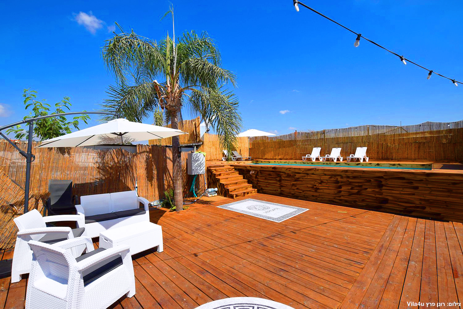 קרטחנה בעיר