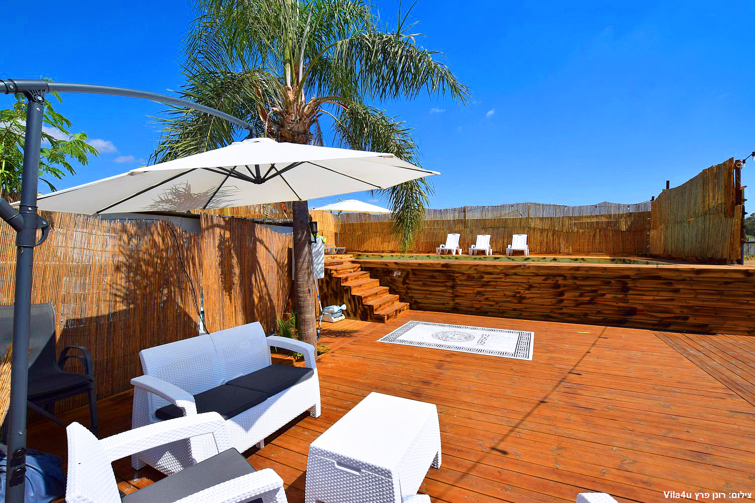 קרטחנה בעיר