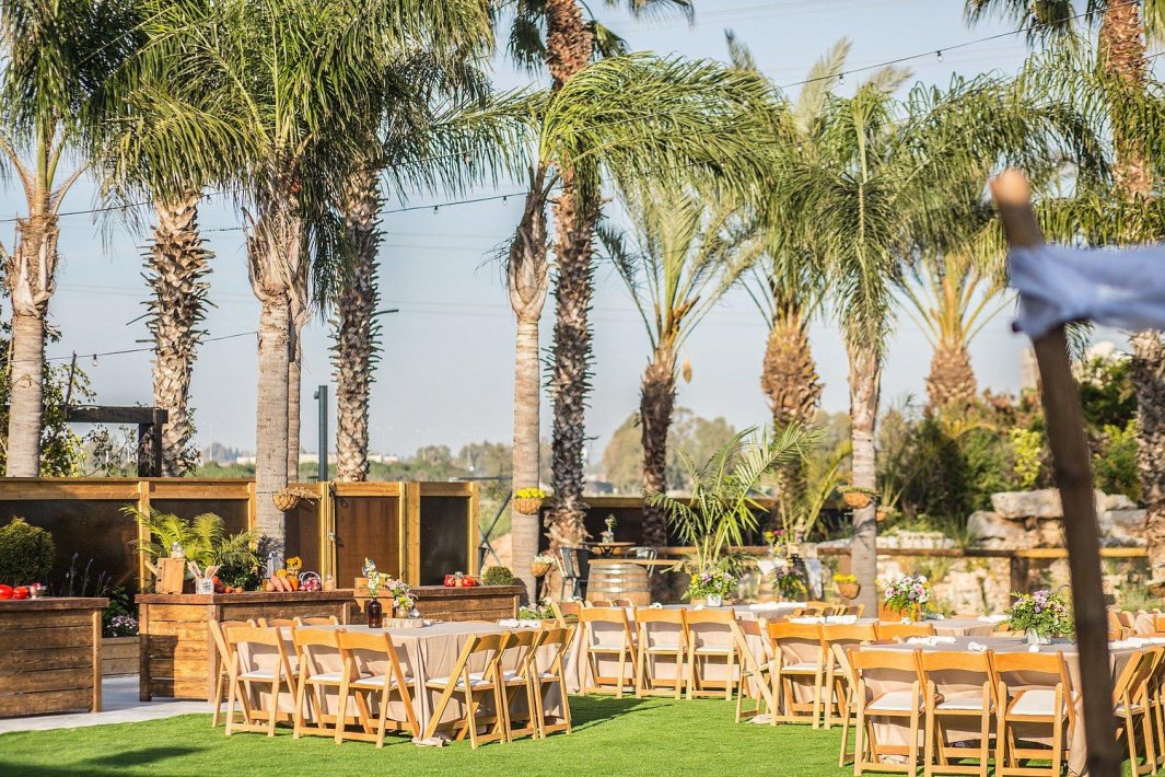 חלום בחווה אורבן - Urban