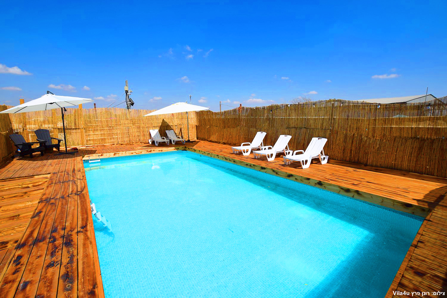 קרטחנה בעיר