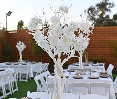 קומפלקס השמורה