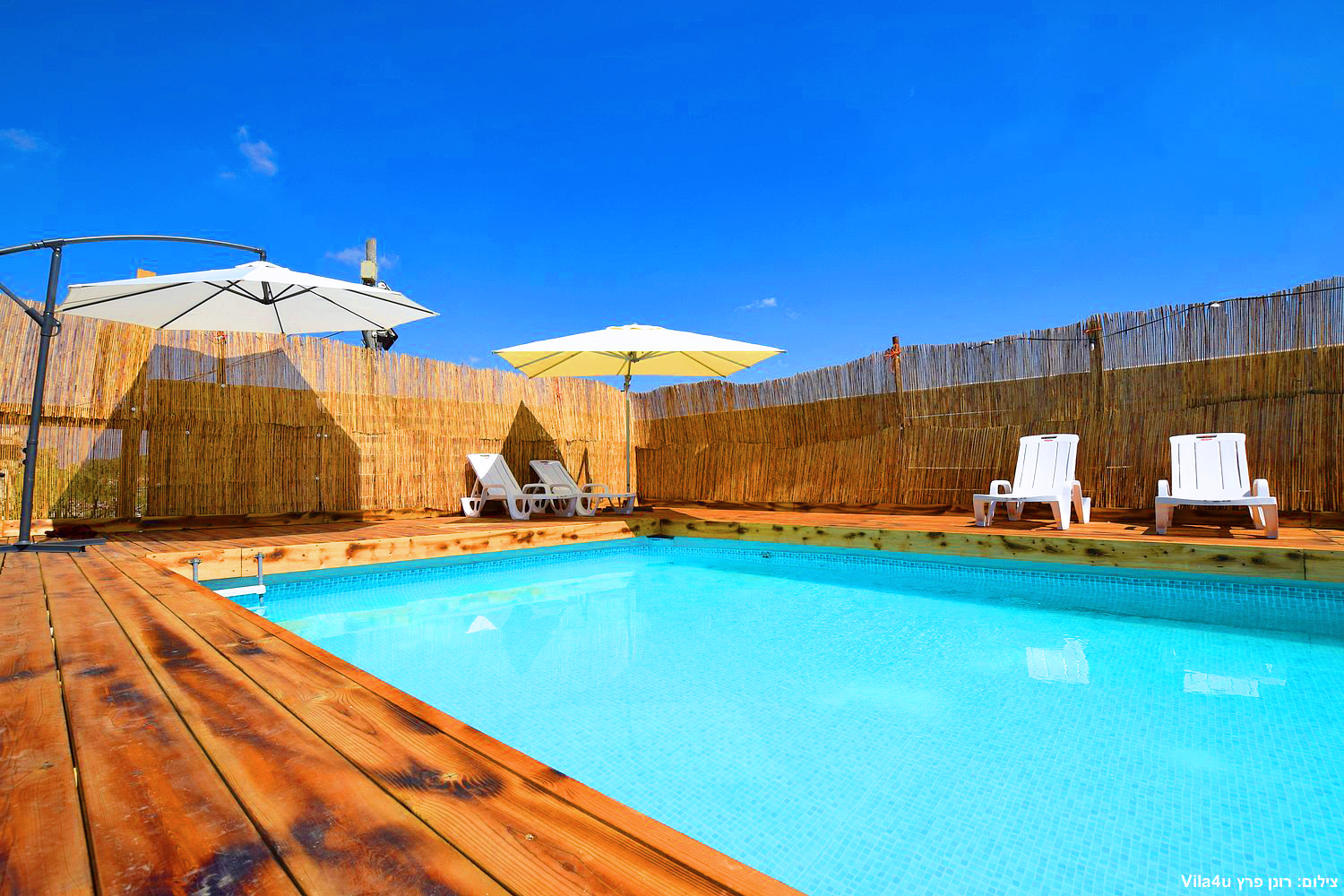 קרטחנה בעיר