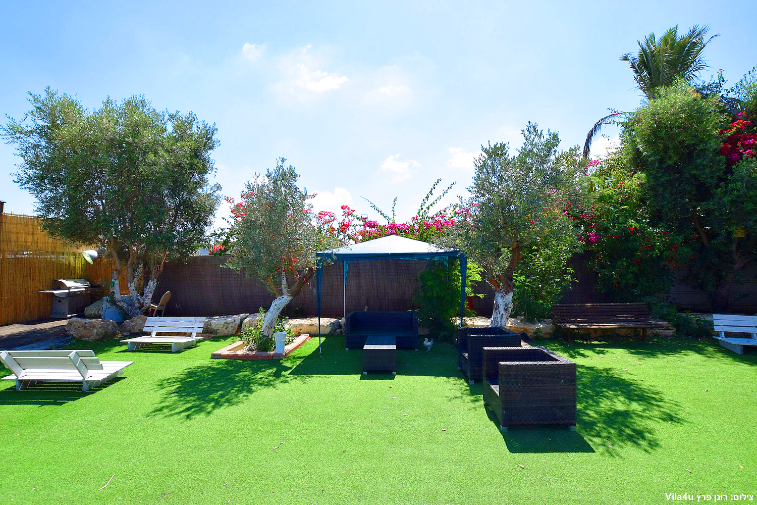 קרטחנה בעיר