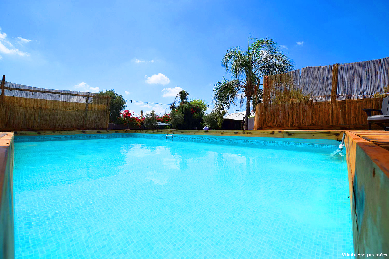 קרטחנה בעיר