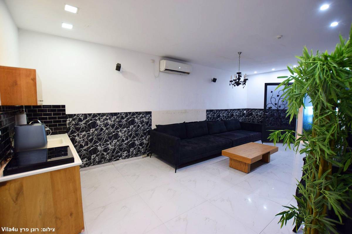 הרמוניה טופ