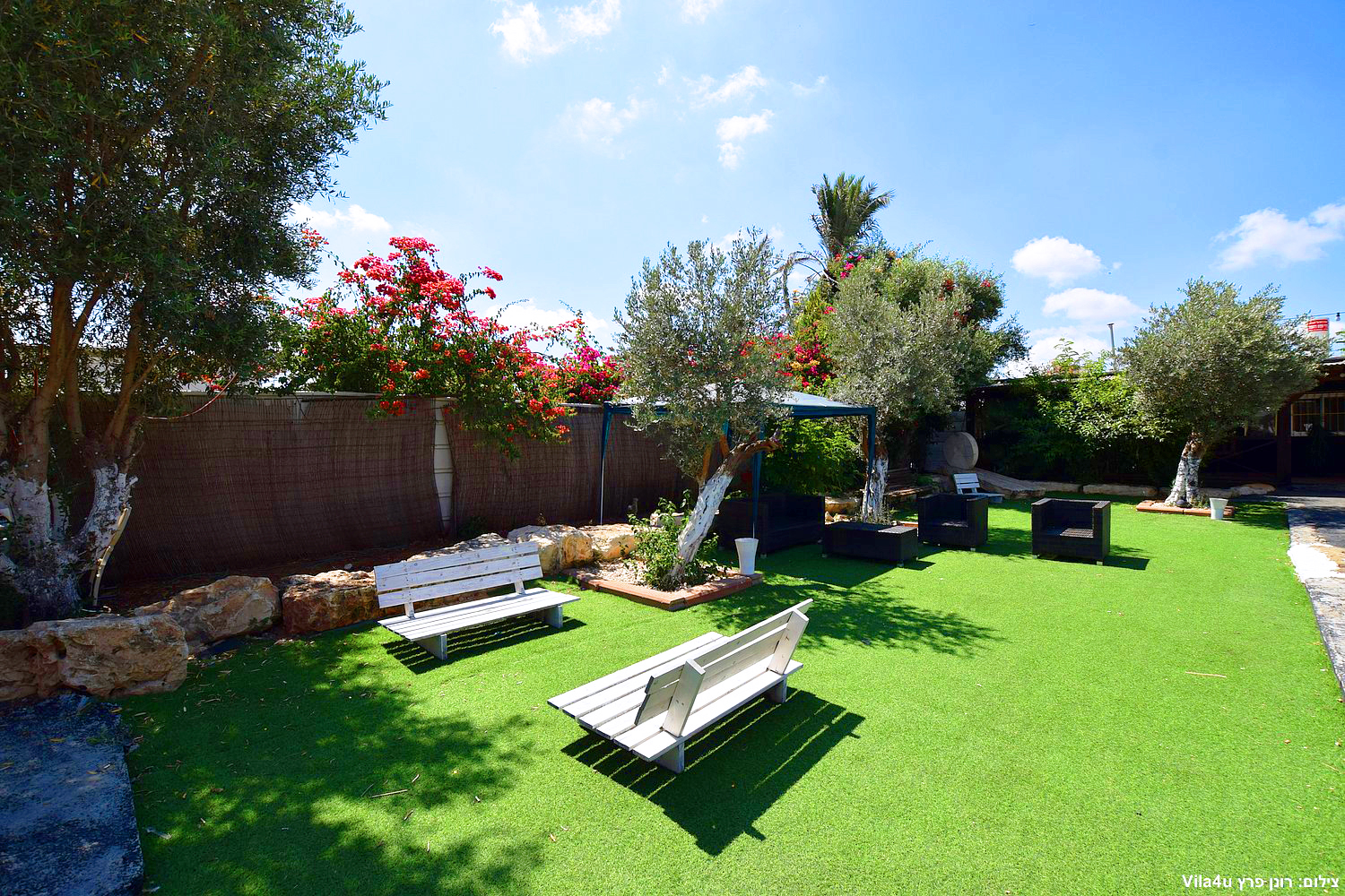 קרטחנה בעיר