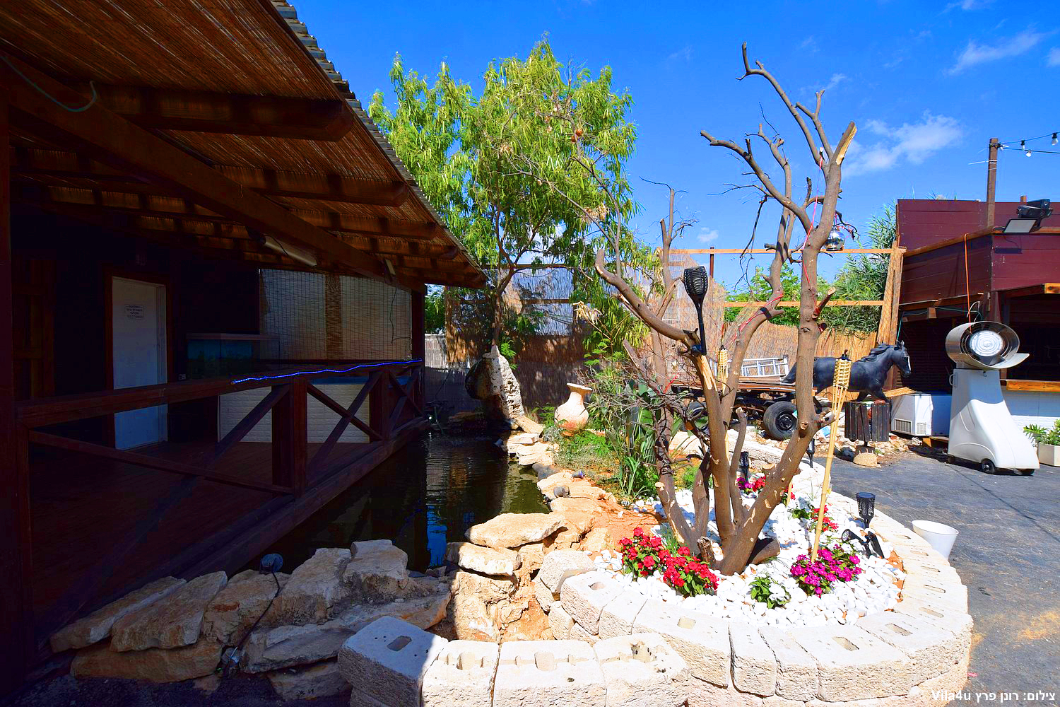 קרטחנה בעיר